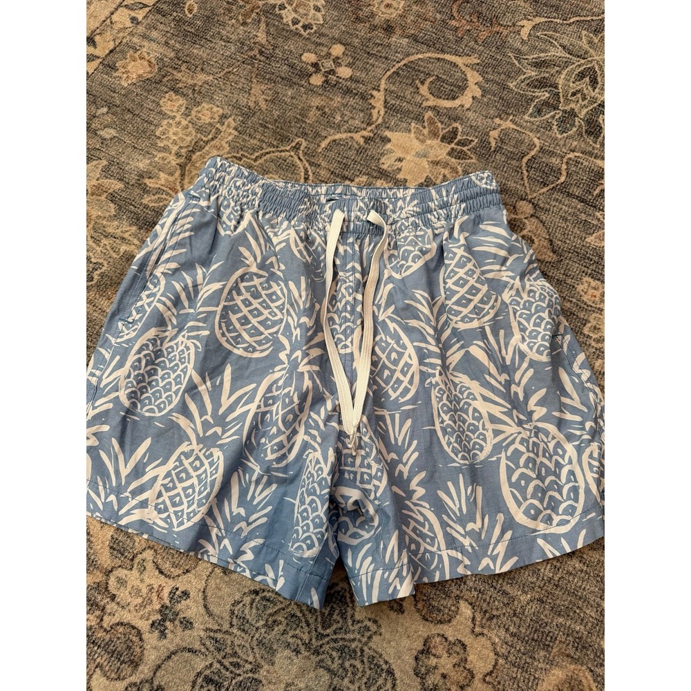 Men's Chubbies Pineapple Blue Board Shorts Swim Trunks